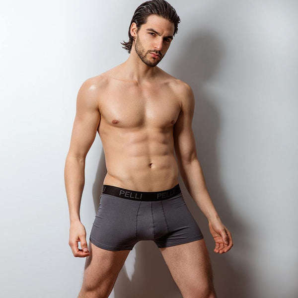 Men's Cotton Modal Stretch Boxer Brief 6-pack - Ranaco Pelli